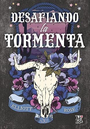 Desafiando la tormenta cover image