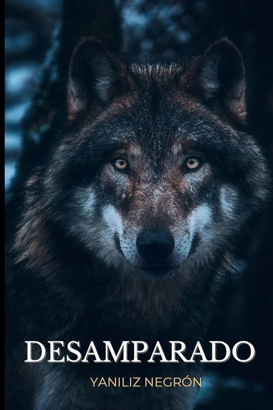 Desamparado (Spanish Edition) cover image